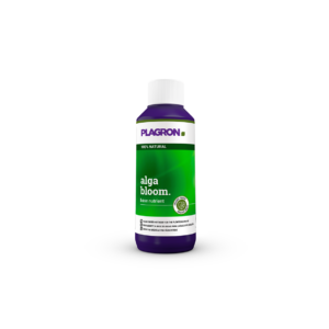 alga bloom plagron
