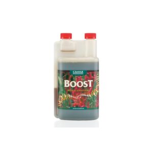 boost accelerator 1l canna