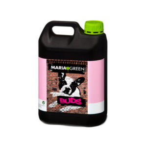 buds 5l maria green
