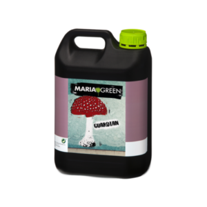 guardian 5l maria green