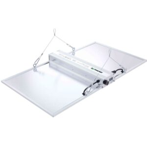 led board quantum nanolux 320w