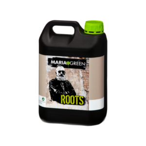 roots 5l maria green