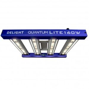 quantum lite 160w delight