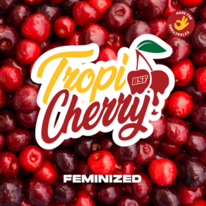 tropi cherry 4uds bsf seeds