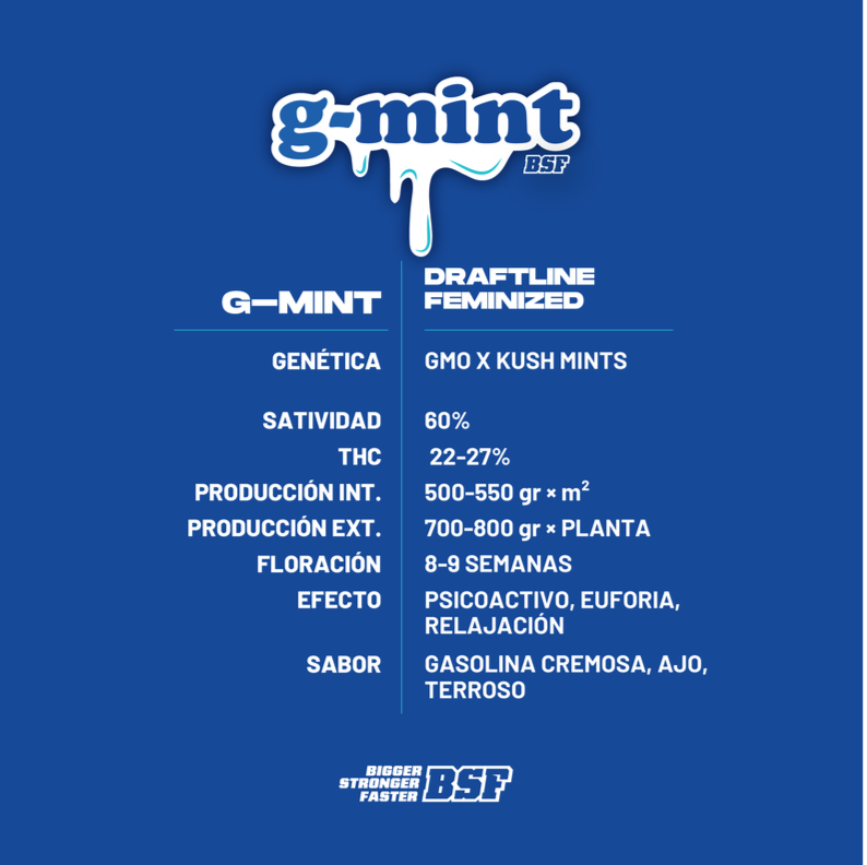 g mint 4uds bsf seeds g mint 4uds bsf seeds
