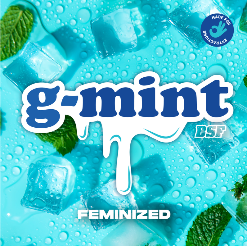 g mint 4uds bsf seeds g mint 4uds bsf seeds