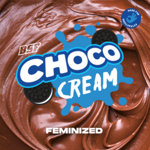 choco cream 4uds bsf seeds